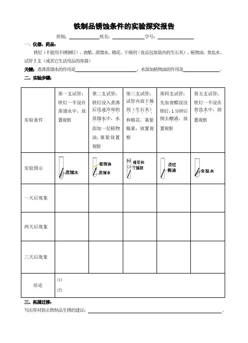 铁制品锈蚀条件的实验探究报告