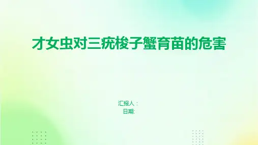 才女虫对三疣梭子蟹育苗的危害
