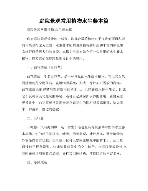 庭院景观常用植物水生藤本篇