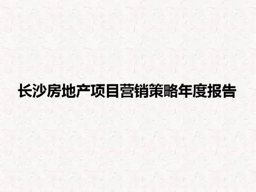 长沙房地产项目营销策略年度报告
