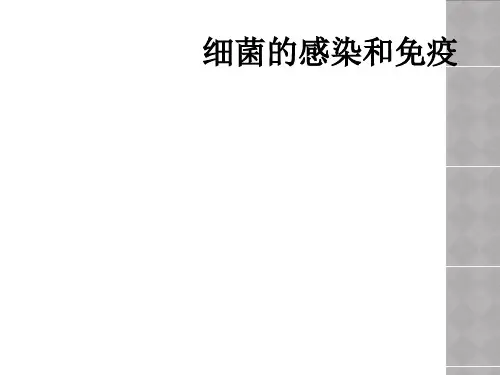 细菌的感染和免疫