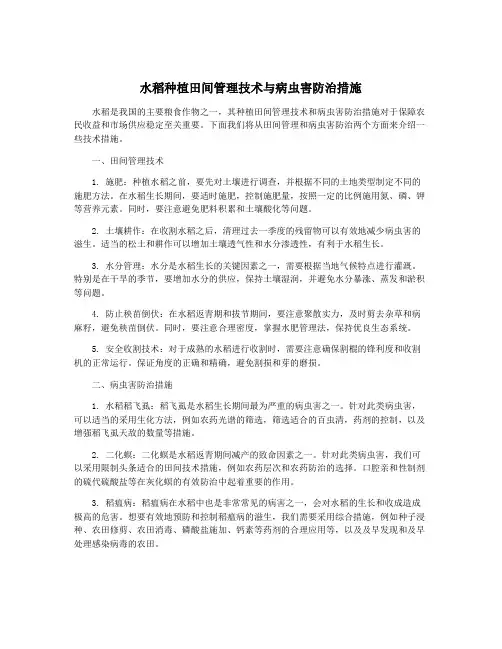 水稻种植田间管理技术与病虫害防治措施