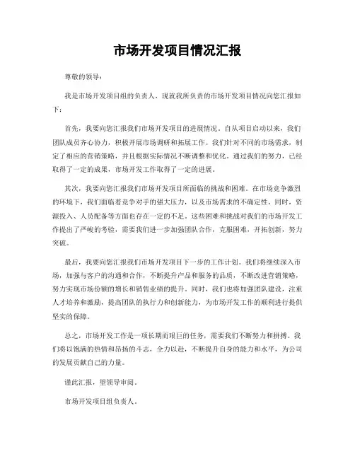 市场开发项目情况汇报