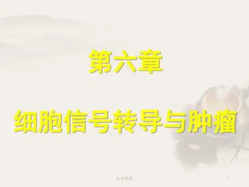 细胞信号转导与肿瘤