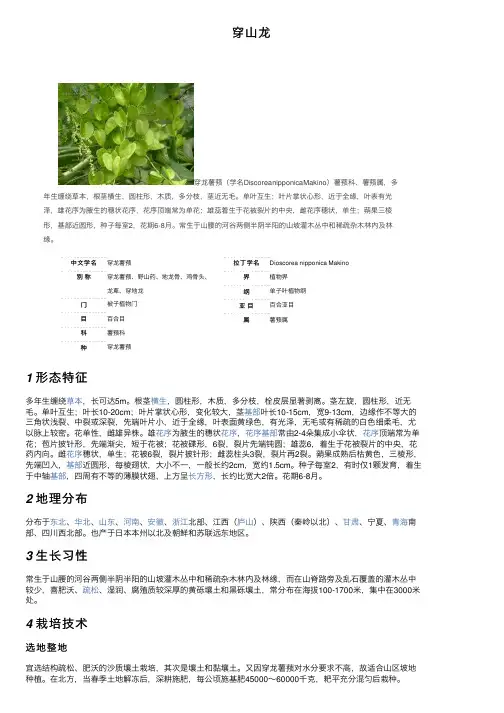 穿山龙——精选推荐