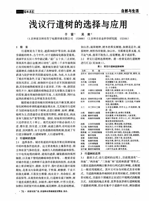 浅议行道树的选择与应用