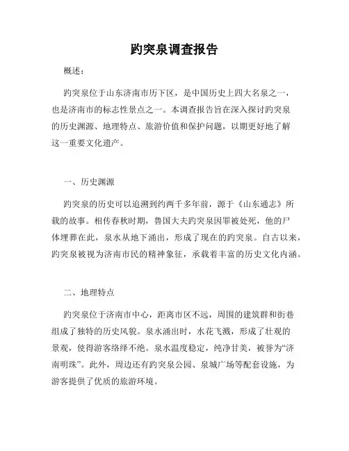 趵突泉调查报告