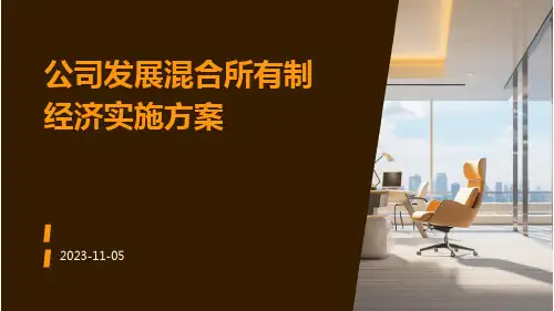 公司发展混合所有制经济实施方案
