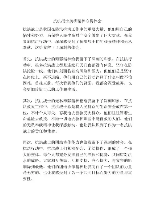 抗洪战士抗洪精神心得体会