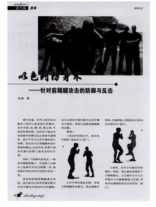 以色列防身术——针对前踢腿攻击的防御与反击