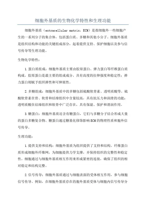 细胞外基质的生物化学特性和生理功能