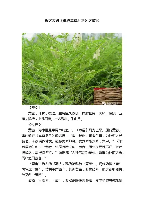 祝之友讲《神农本草经之》之黄芪