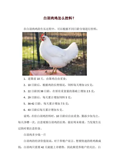 白羽肉鸡怎么控料？