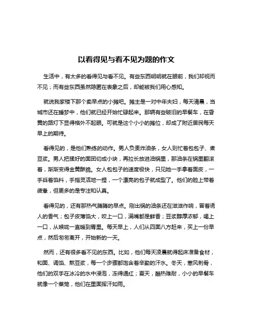 以看得见与看不见为题的作文