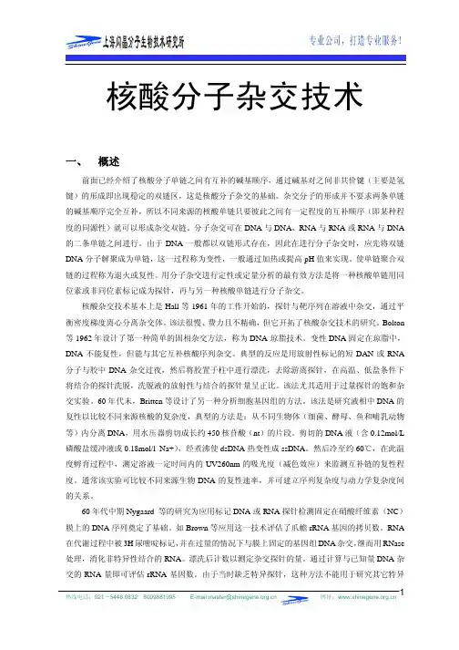 核酸分子杂交技术