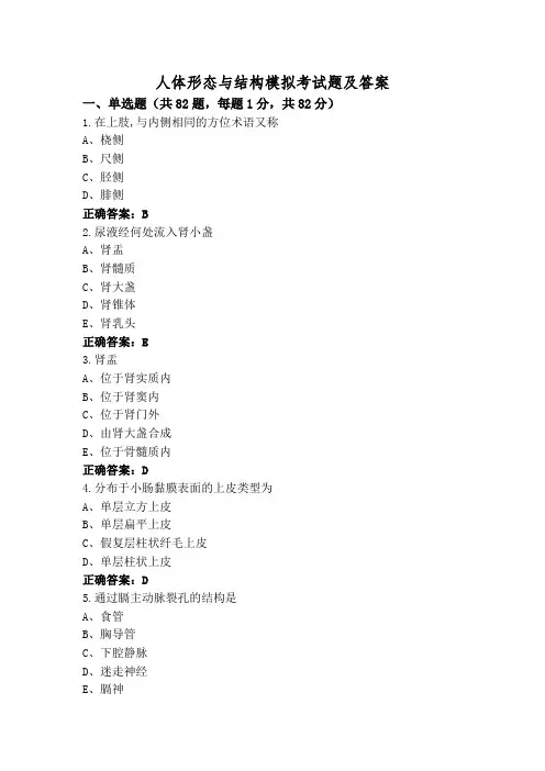 人体形态与结构模拟考试题及答案