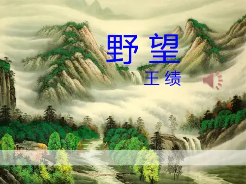 《野望》PPT【优质课件】