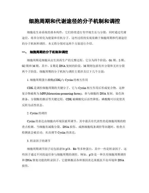 细胞周期和代谢途径的分子机制和调控