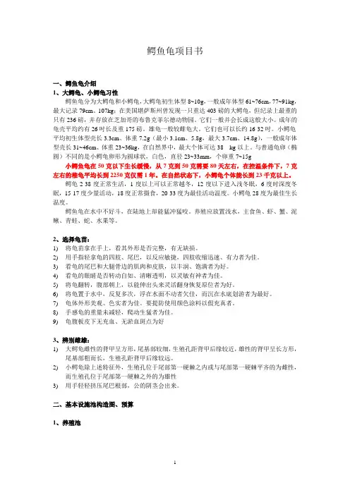 鳄鱼龟养殖计划 2