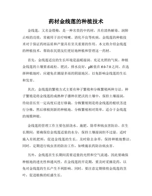 药材金线莲的种植技术