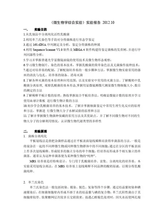不同乳制品(酸奶)中活性乳酸菌的分离及鉴定