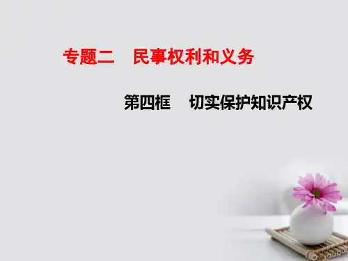 高中政治专题2.4切实保护知识产权课件新人教版选修
