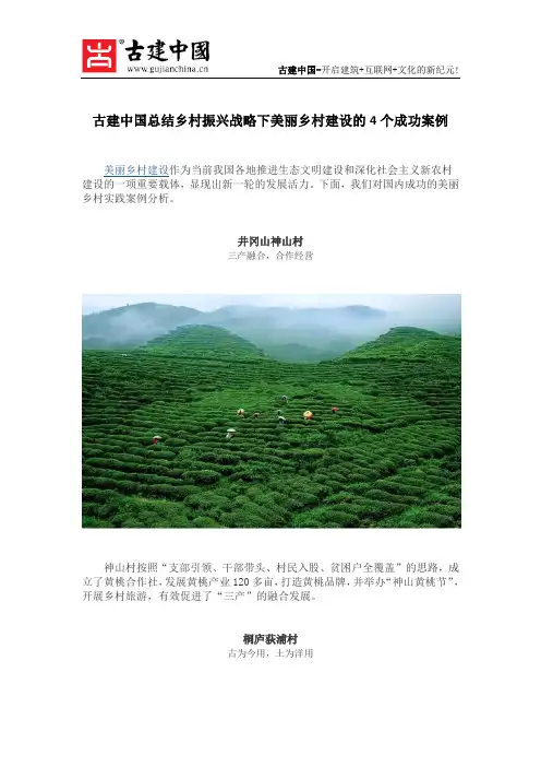 古建中国总结乡村振兴战略下美丽乡村建设的4个成功案例