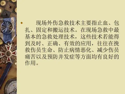 急救四大技术ppt课件