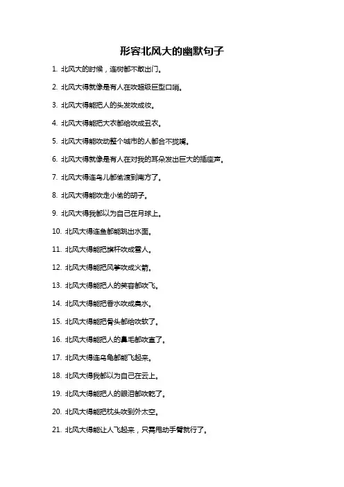 形容北风大的幽默句子