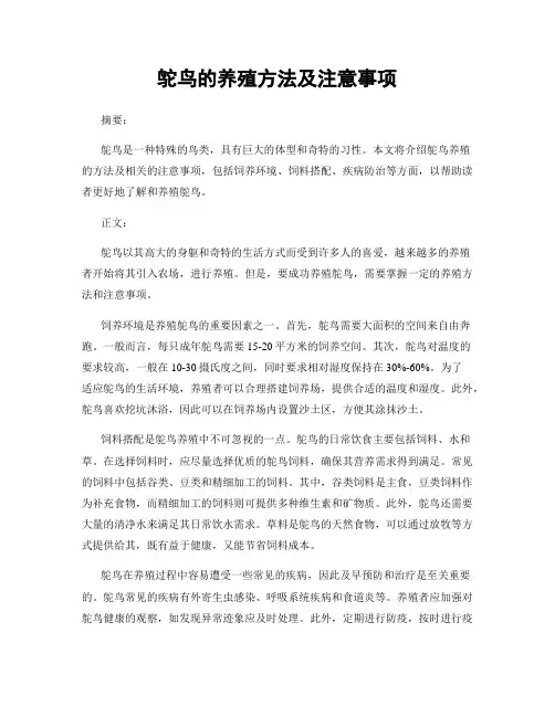 鸵鸟的养殖方法及注意事项