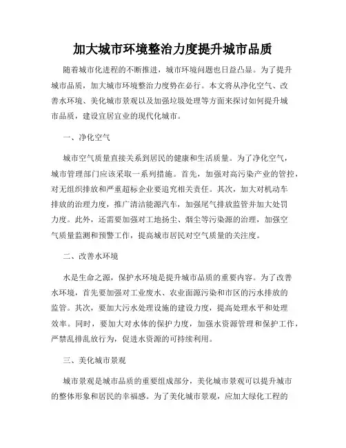 加大城市环境整治力度提升城市品质
