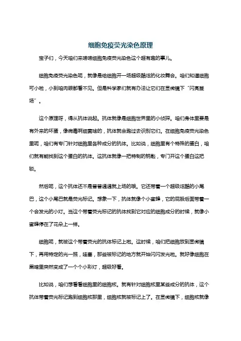 细胞免疫荧光染色原理