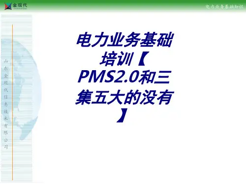 电力业务基础培训PMS2.0和三集五大的没有PPT培训课件