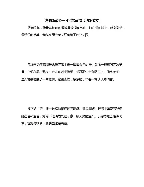 请你写出一个特写镜头的作文