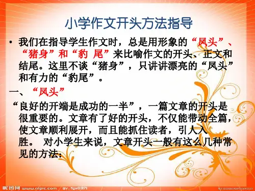 小学四年级作文开头、结尾方法指导. PPT课件(共17张)