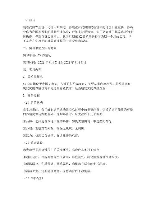 实习生养鸡报告