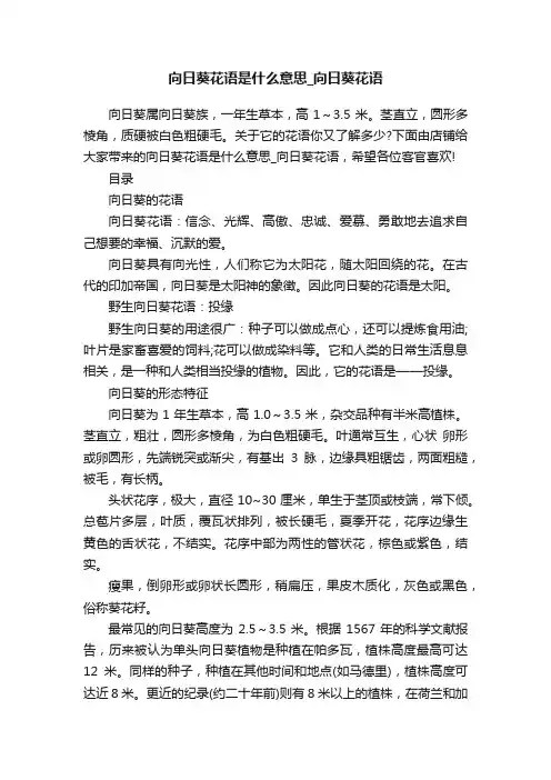 向日葵花语是什么意思_向日葵花语
