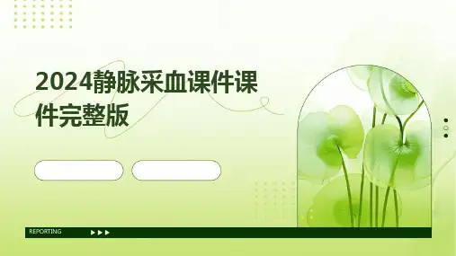 2024静脉采血课件课件完整版