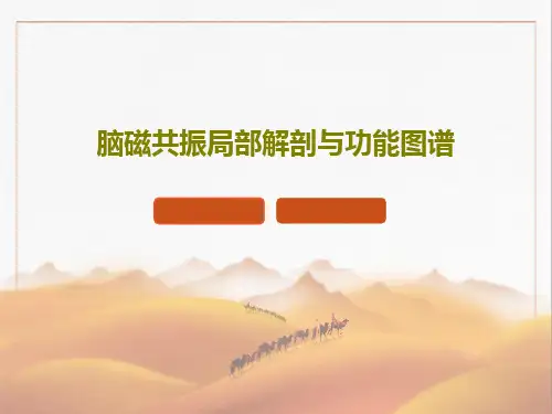 脑磁共振局部解剖与功能图谱共29页