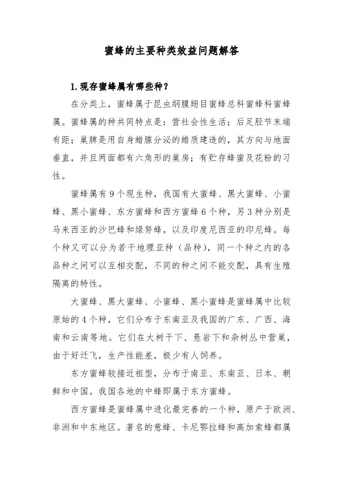蜜蜂的主要种类效益问题解答