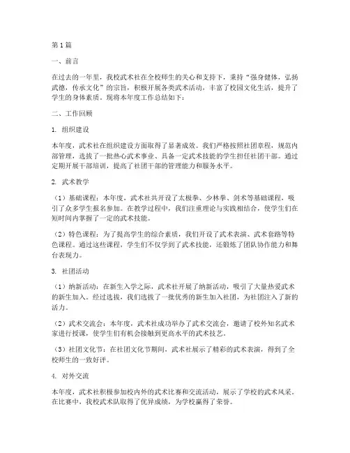 武术社年度总结报告(3篇)