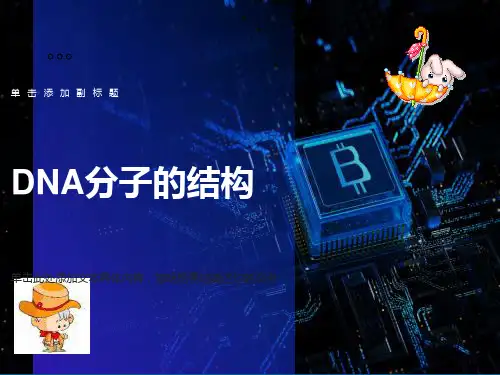《DNA分子的结构》课件6-(人教版必修2)