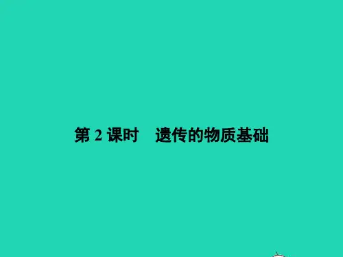 八年级生物下册 6.2.1 遗传(第2课时)课件 (新版)冀教版