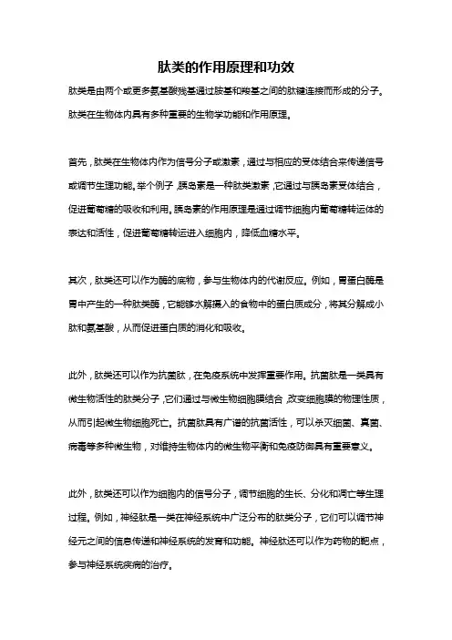 肽类的作用原理和功效
