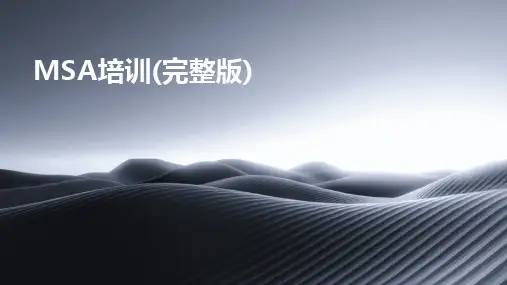 MSA培训(完整版)