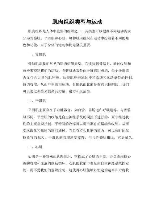 肌肉组织类型与运动