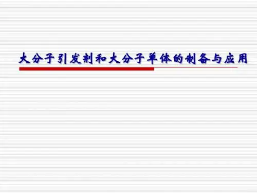 第5章 大分子引发