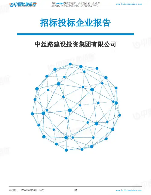 中丝路建设投资集团有限公司-招投标数据分析报告