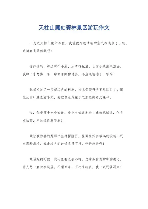 天柱山魔幻森林景区游玩作文