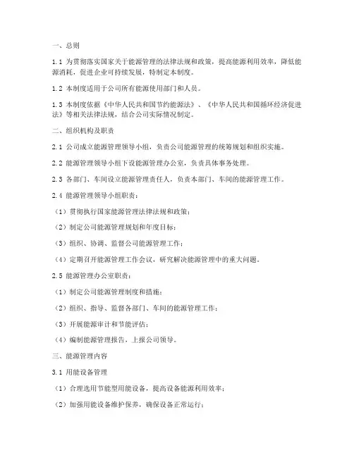 制定能源管理制度模板